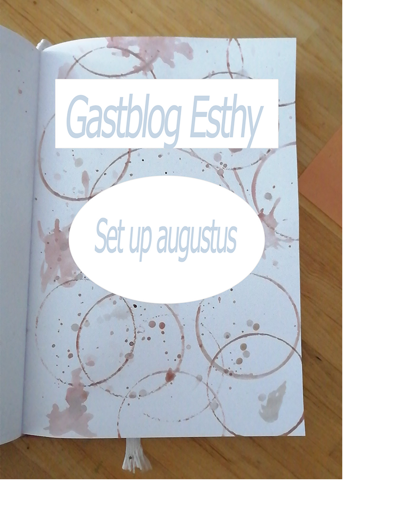 Gastblog Esthy - Plan With Me Augustus - Set up bullet journal voor de maand augustus.