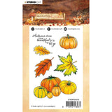 Clear Stamp A6 - Wonderful Autumn nr 478